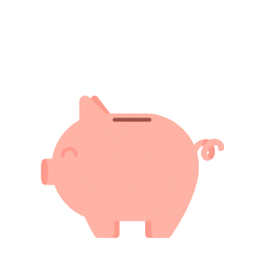 pig